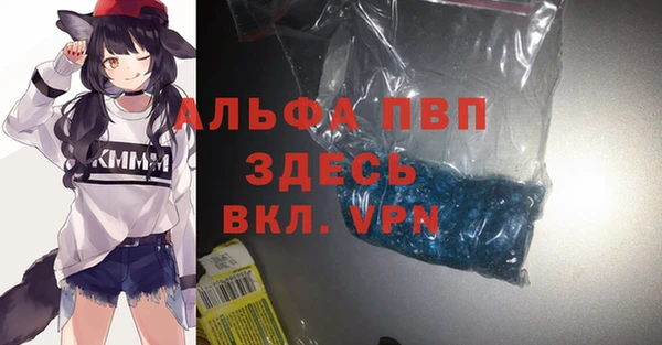 стафф Алексин