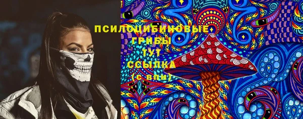 стафф Алексин