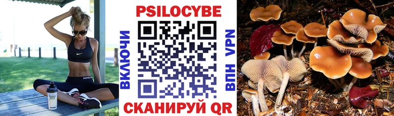 MEGA маркетплейс  Козловка  Псилоцибиновые грибы Cubensis 